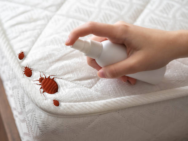 Best Emergency Pest Control  in Pearl River, MS
