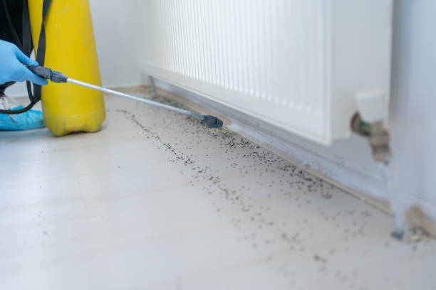 Best Residential Pest Control  in Pearl River, MS