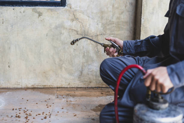 Best Termite Control Services  in Pearl River, MS